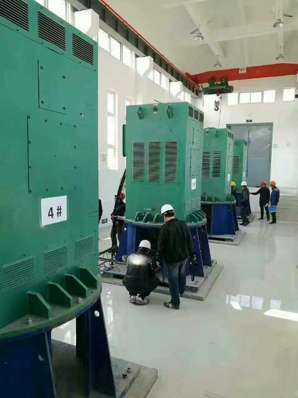 苏仙某污水处理厂使用我厂的立式高压电机安装现场